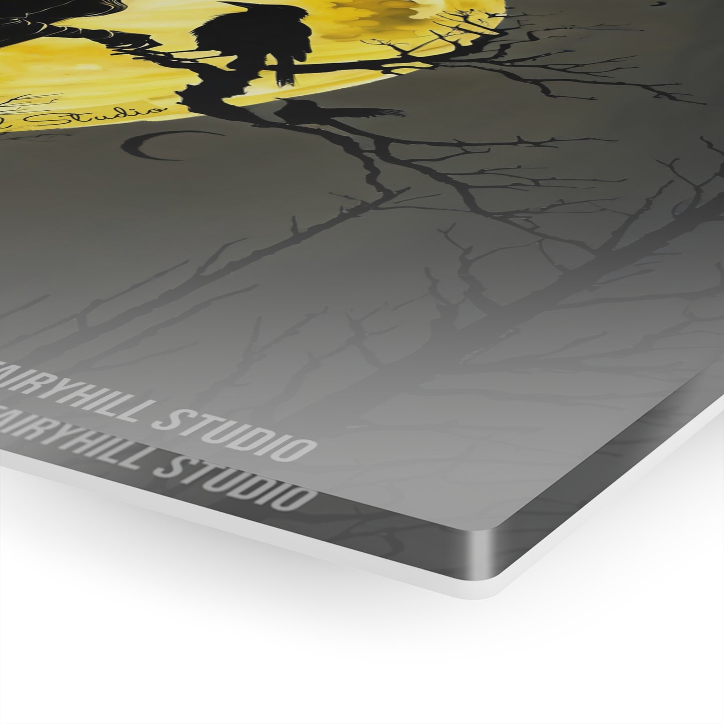 Acrylic Print Moon Witch with Crow Wall Art