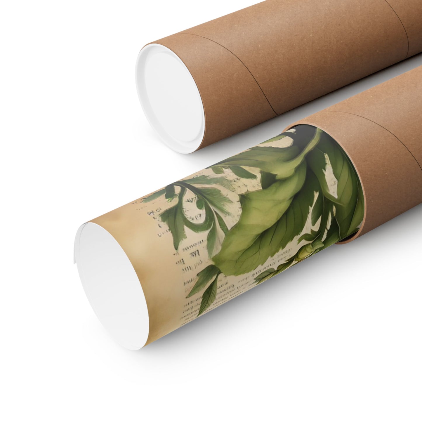 Botanical Vertical Posters - Vintage Antirrhinum Snapdragons
