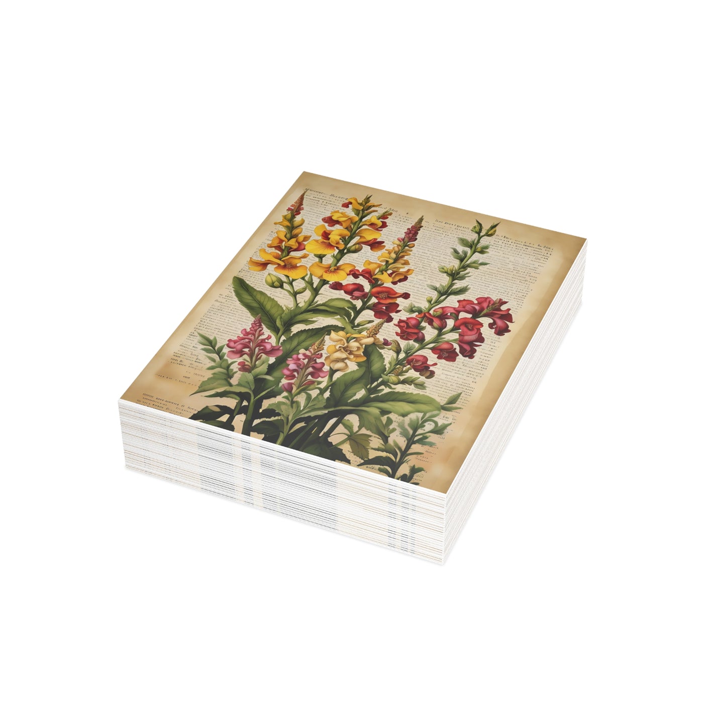 Vintage Floral Postcard Bundle