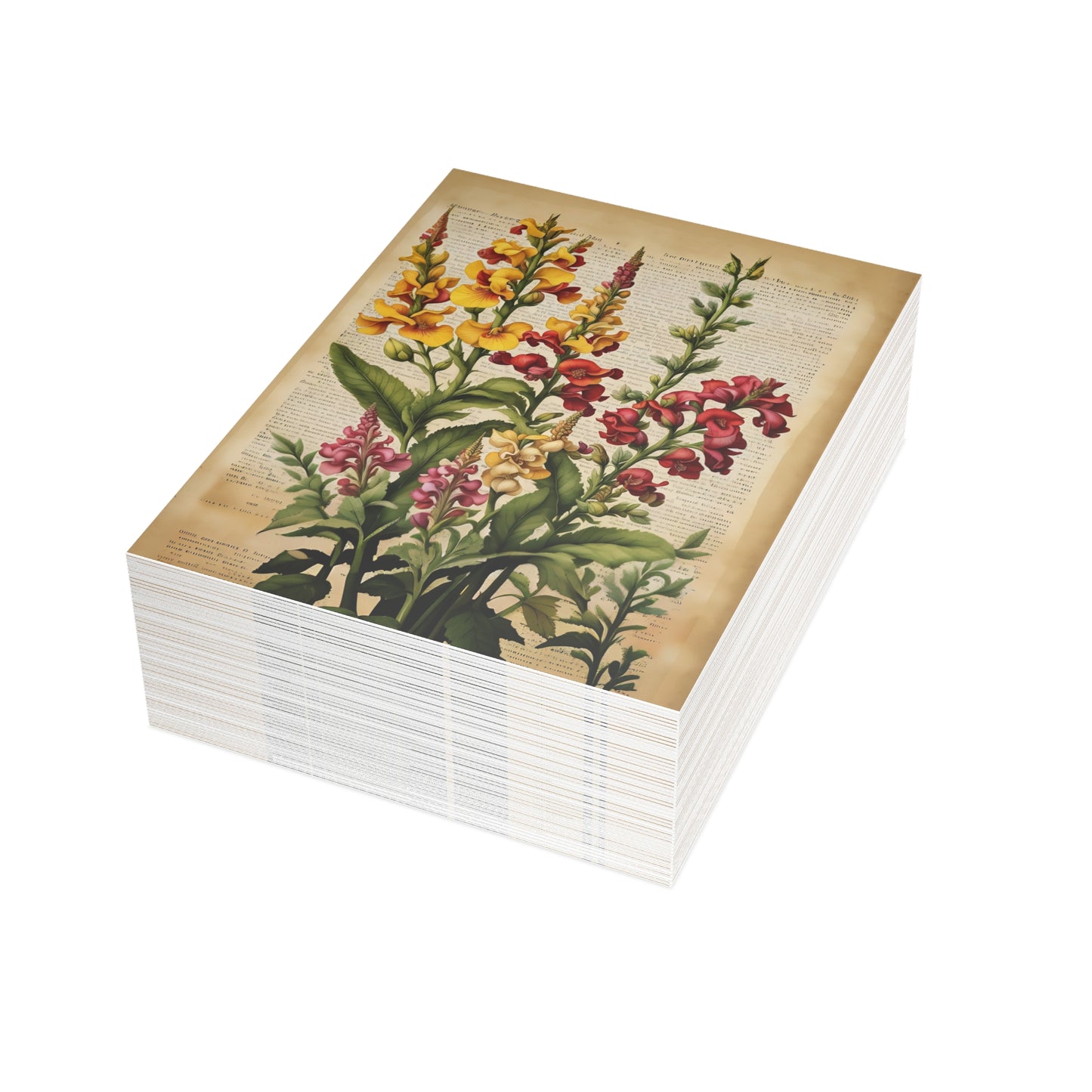 Vintage Floral Postcard Bundle