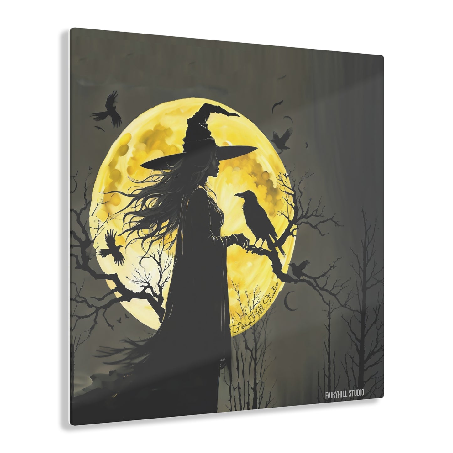 Acrylic Print Moon Witch with Crow Wall Art