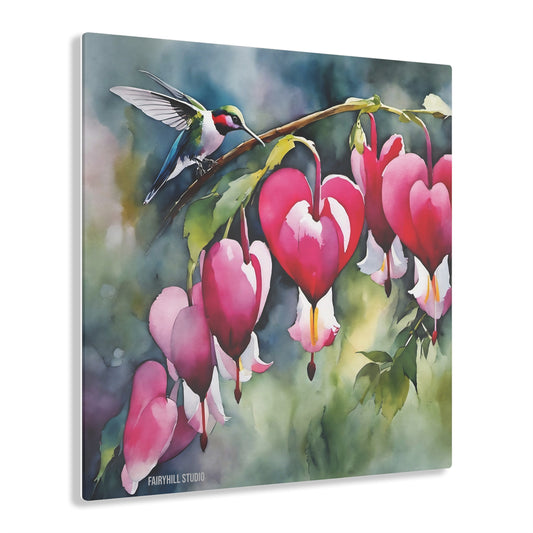 Hummingbird with Bleeding Hearts  Inspirational  Art Acrylic Print -