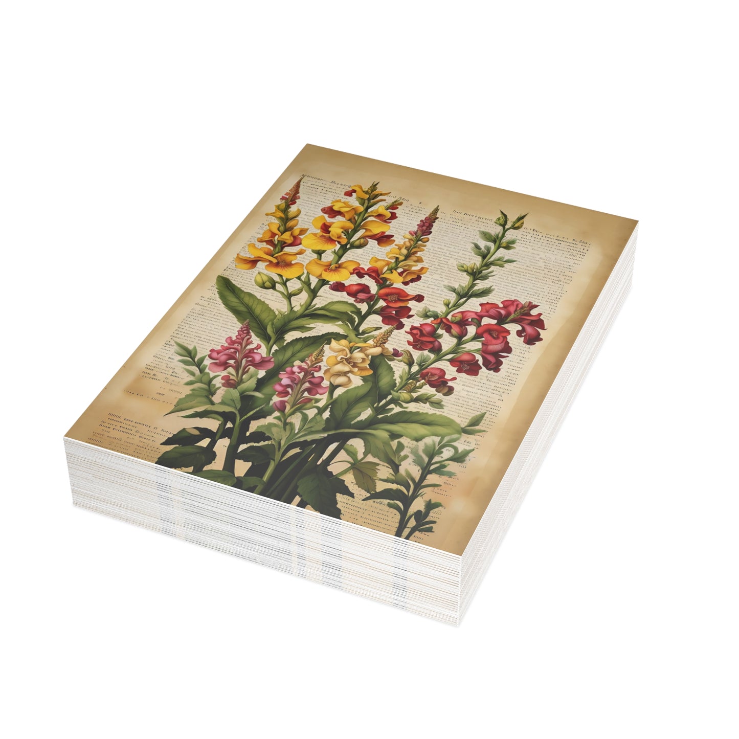 Vintage Floral Postcard Bundle