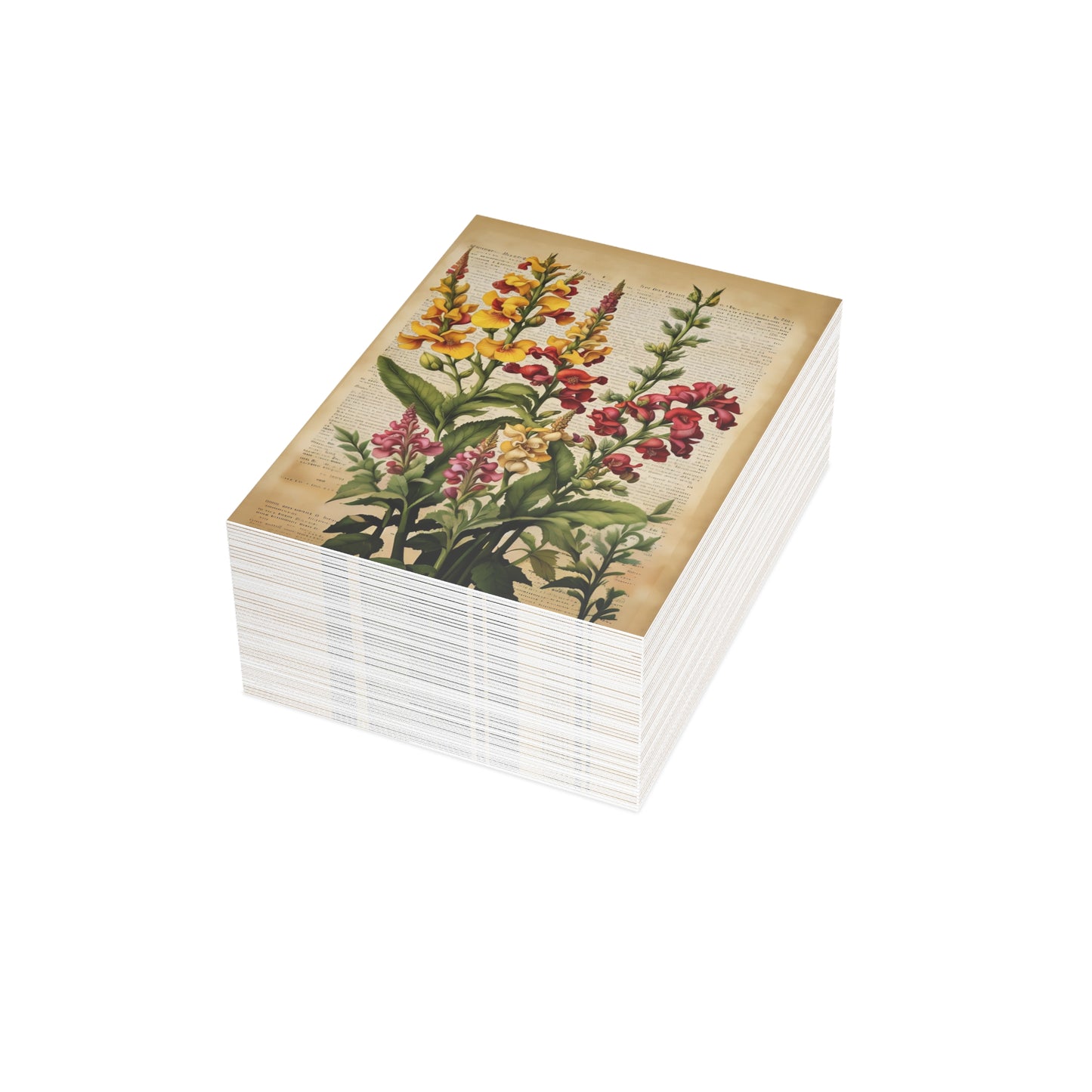 Vintage Floral Postcard Bundle