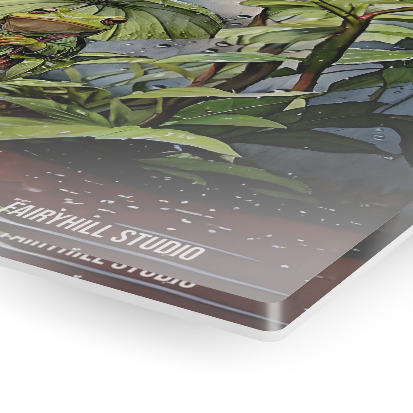 Art Acrylic Prints -Have a Hoppy Day.Frog Birthday