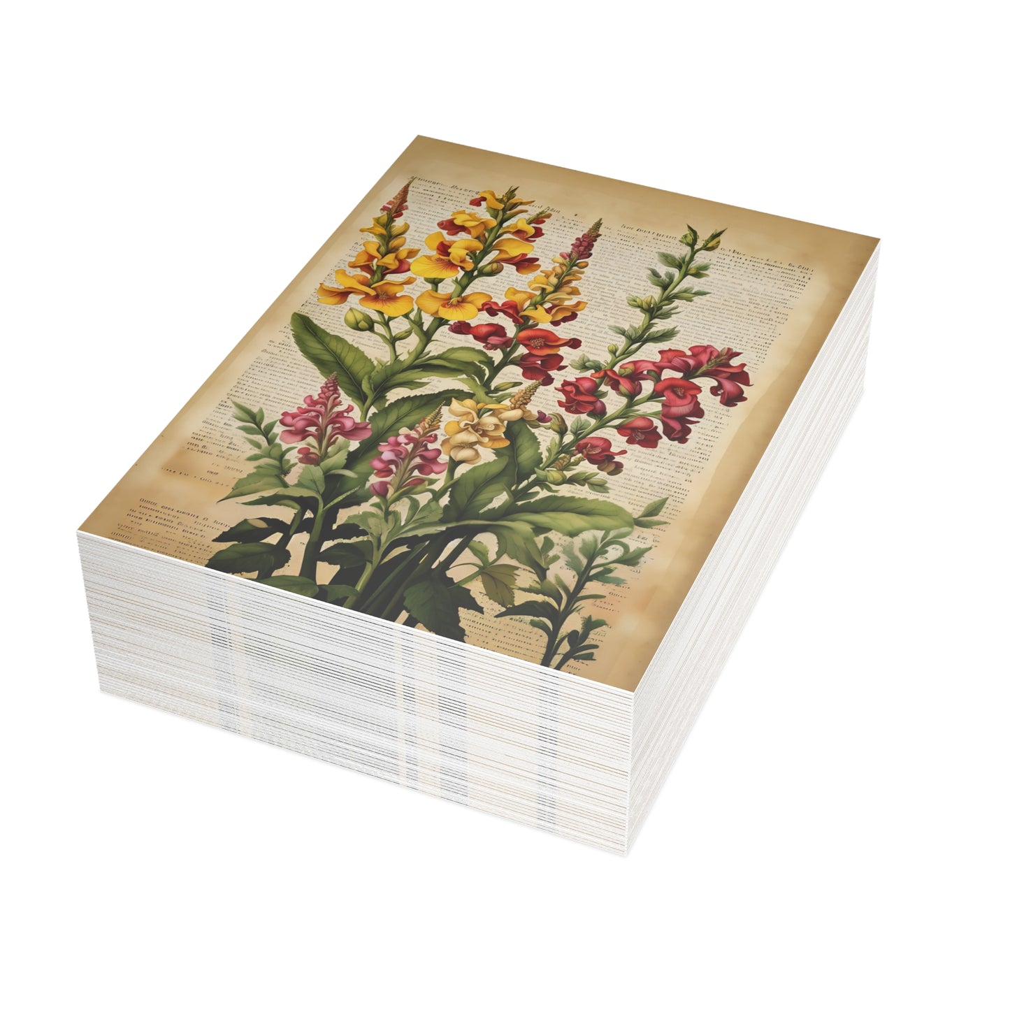Vintage Floral Postcard Bundle