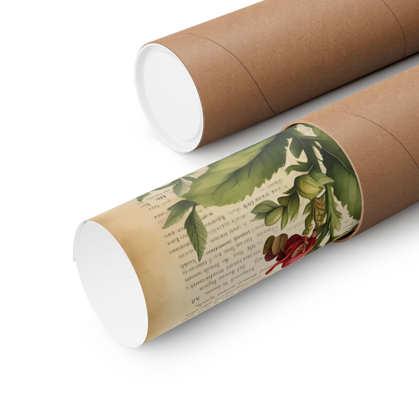 Botanical Vertical Posters - Vintage Antirrhinum Snapdragons