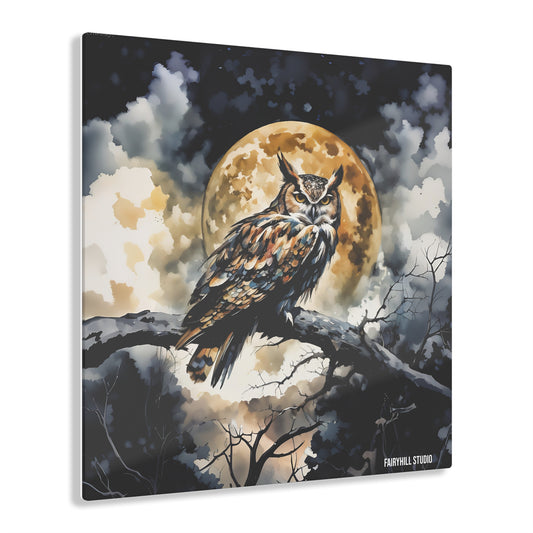 Acrylic Print - Midnight Owl Inspirational Art