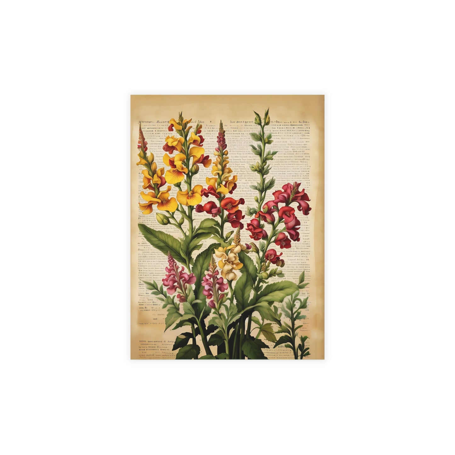 Vintage Floral Postcard Bundle