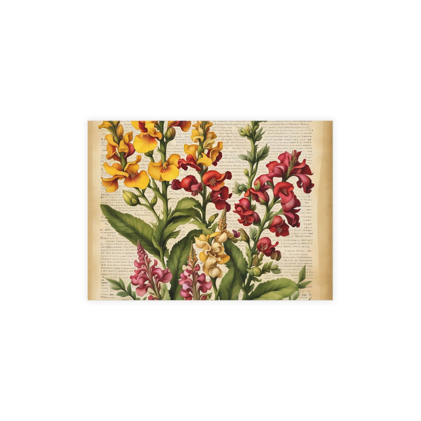 Vintage Floral Postcard Bundle