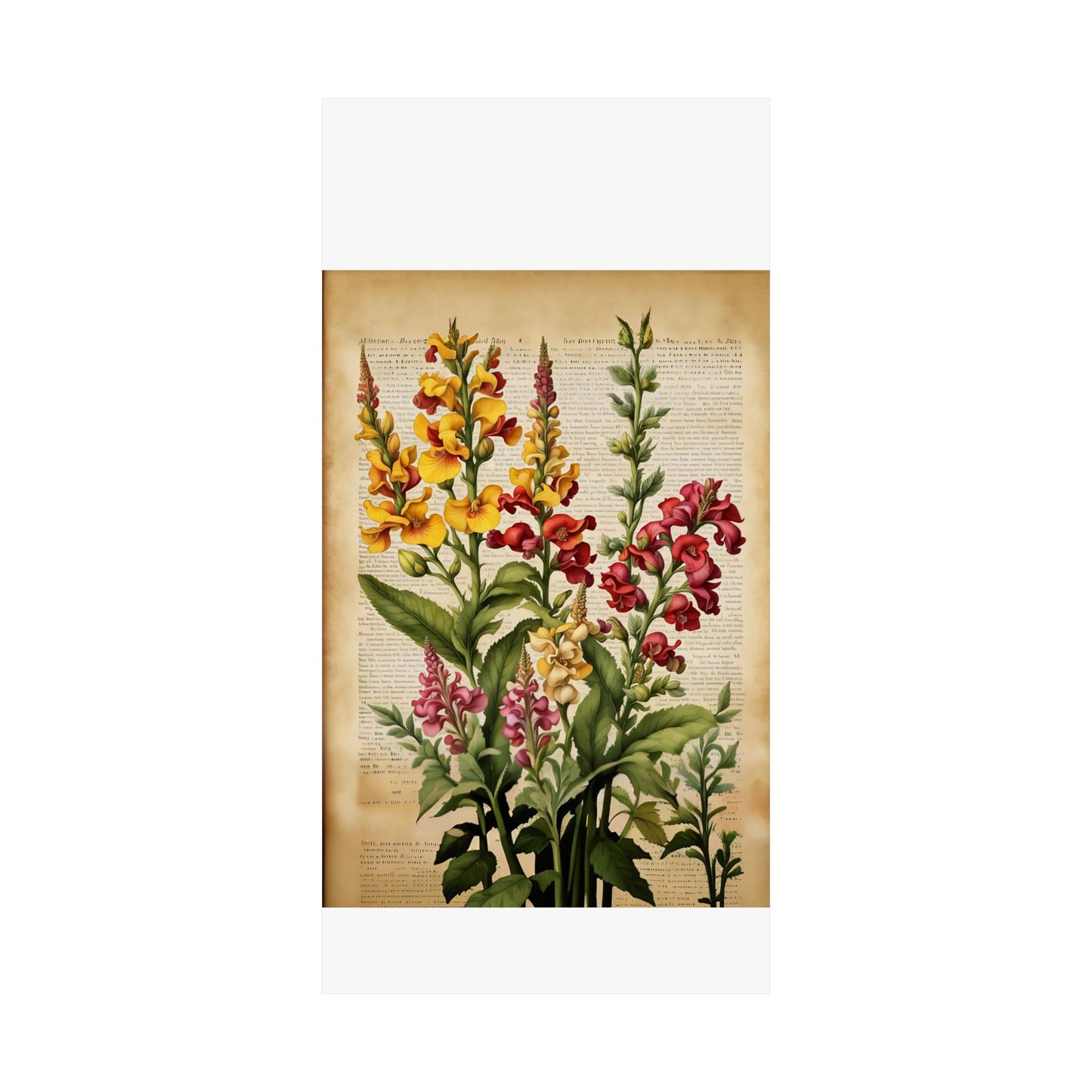 Botanical Vertical Posters - Vintage Antirrhinum Snapdragons