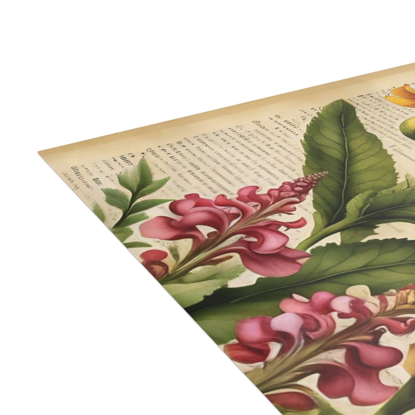 Vintage Floral Postcard Bundle