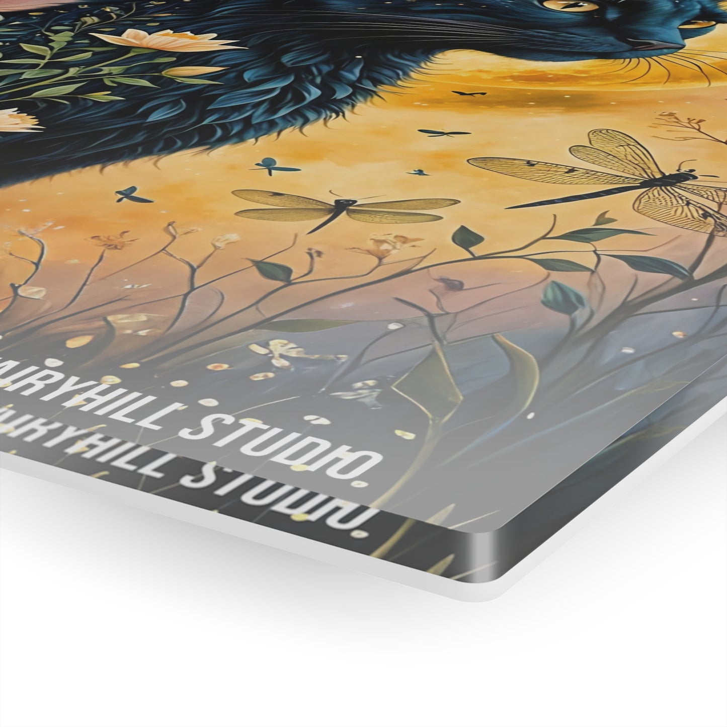 Acrylic Print - Black Cat at Night with dragonfliies Inspirational Art