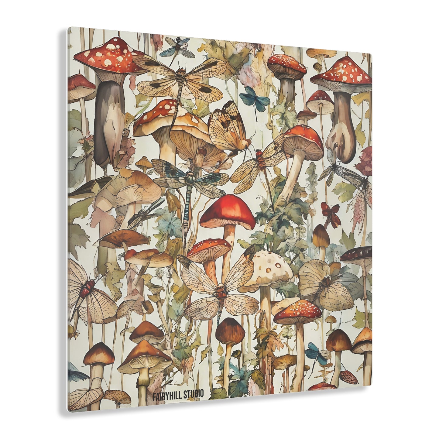 Art Acrylic Prints FairyHill Studio Botanical Mushrooms Art