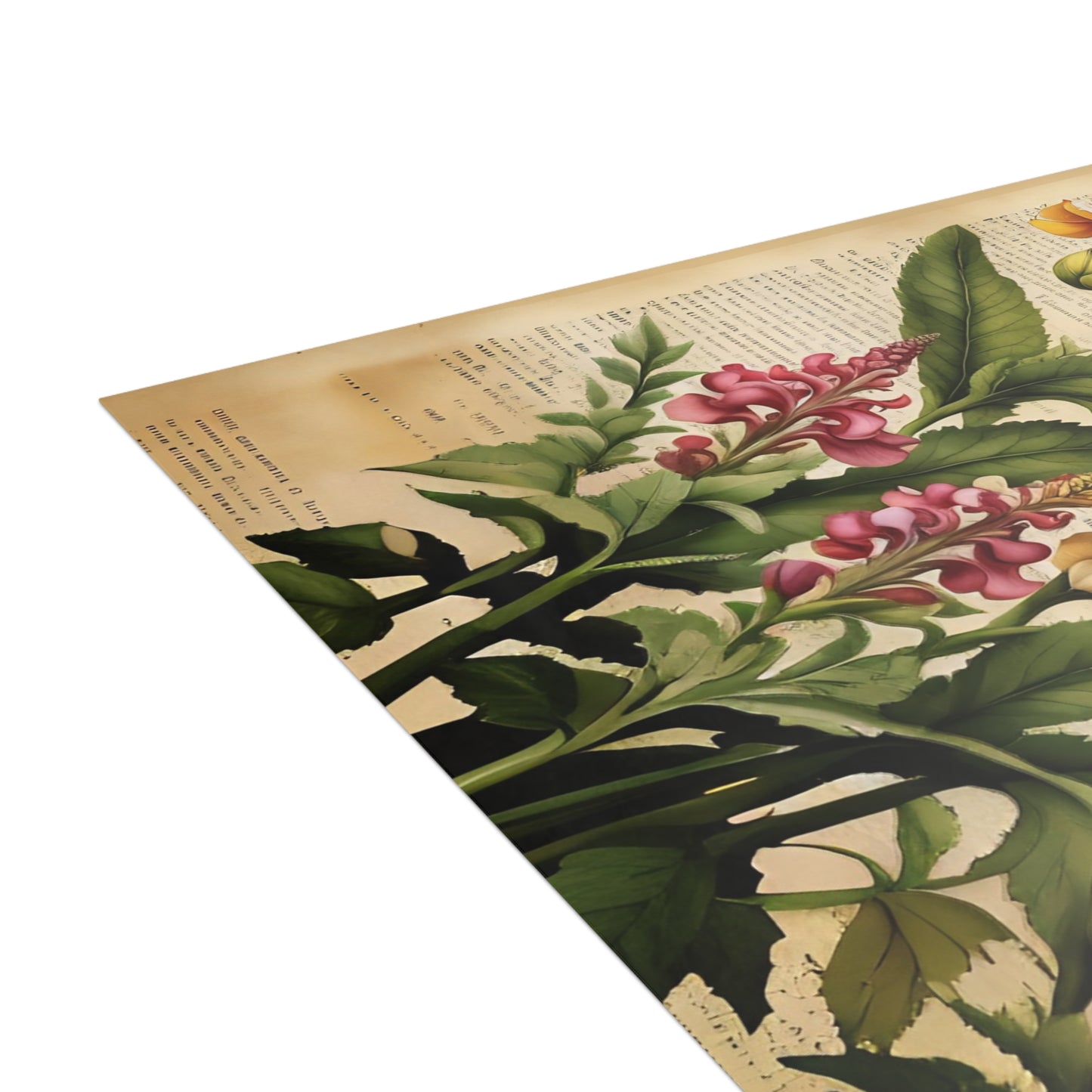 Vintage Floral Postcard Bundle