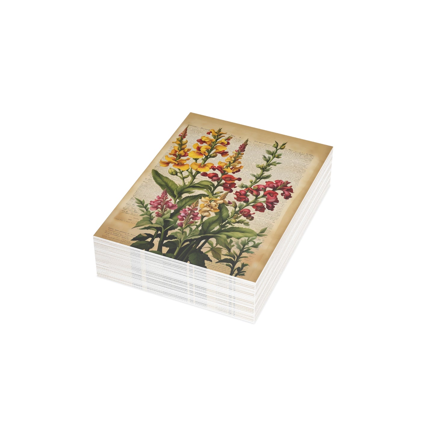 Vintage Floral Postcard Bundle