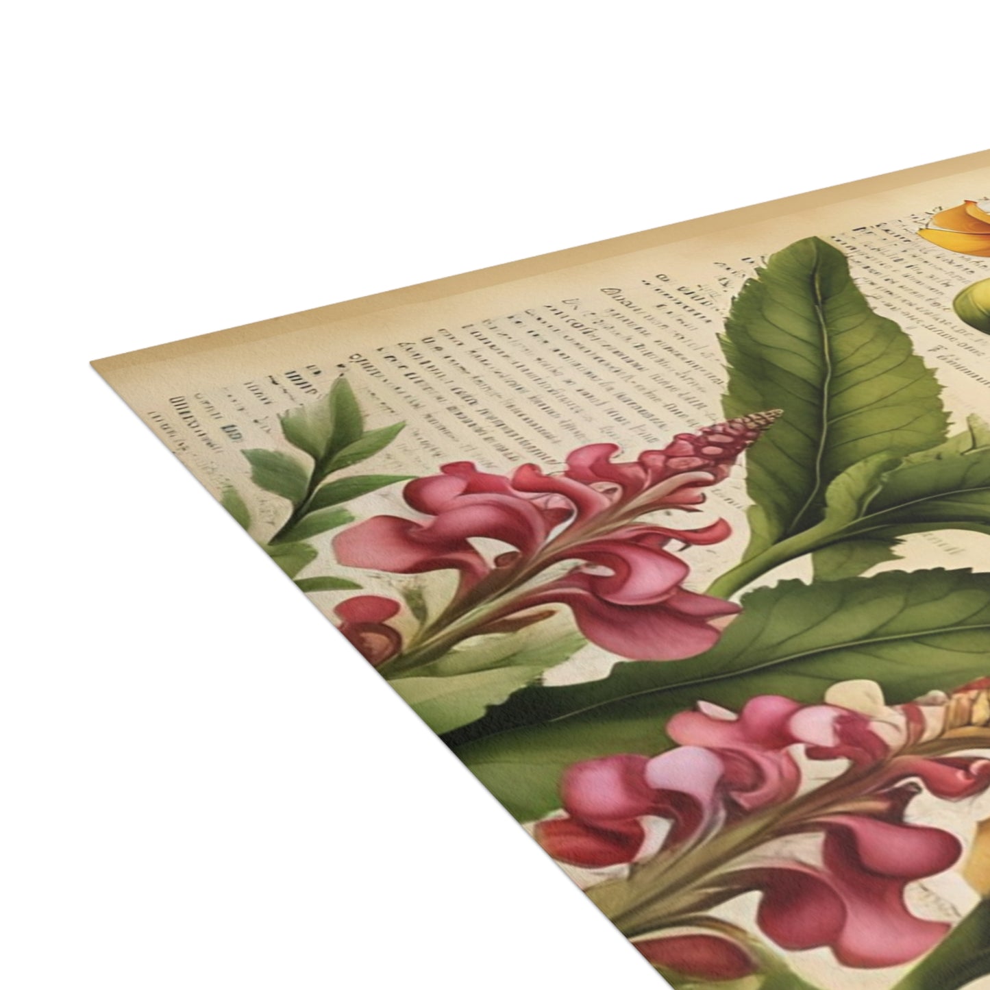 Vintage Floral Postcard Bundle