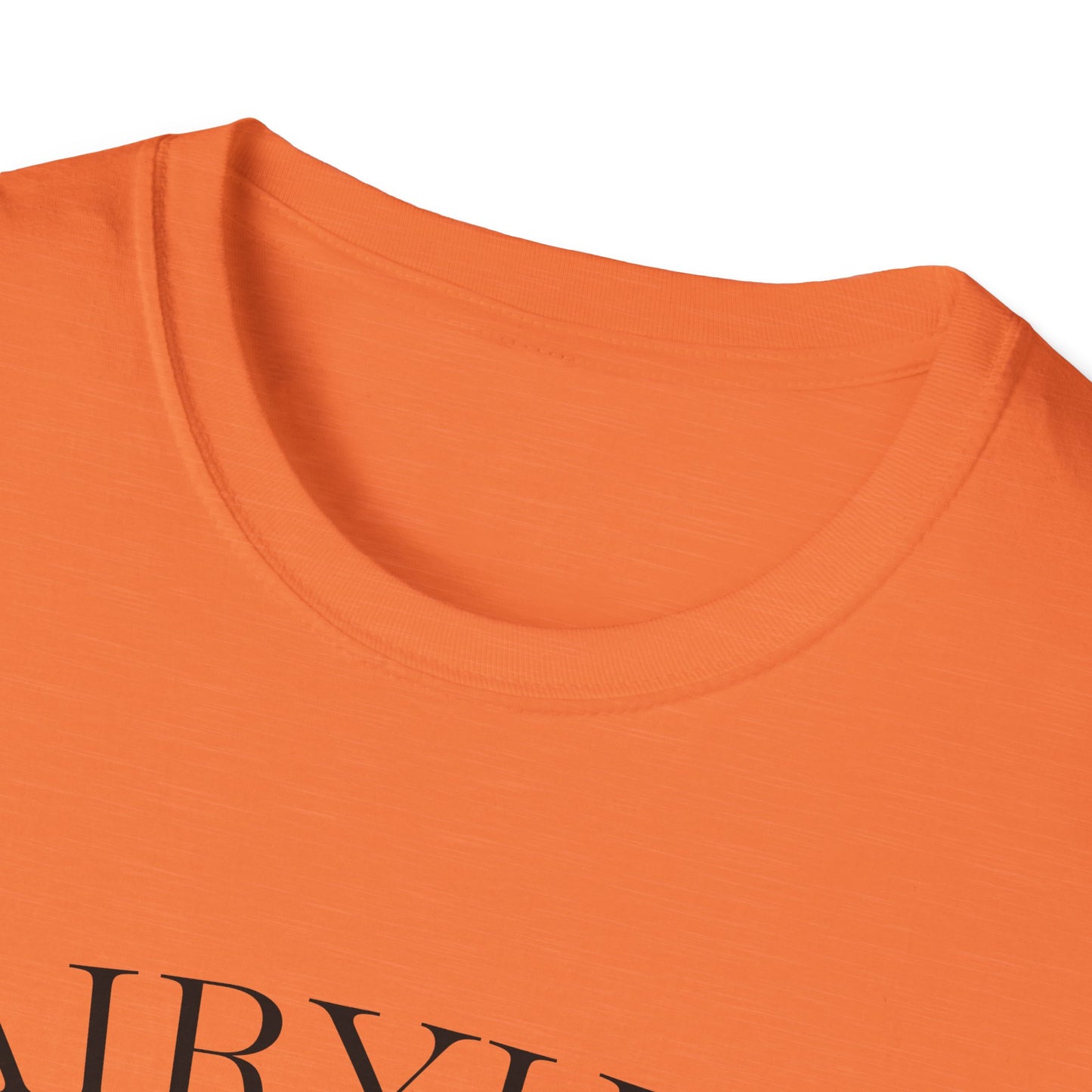Unisex Softstyle T-Shirt with Retro Fairythili Design, Casual Wear, Graphic Tee, Gift Idea, Vintage Apparel