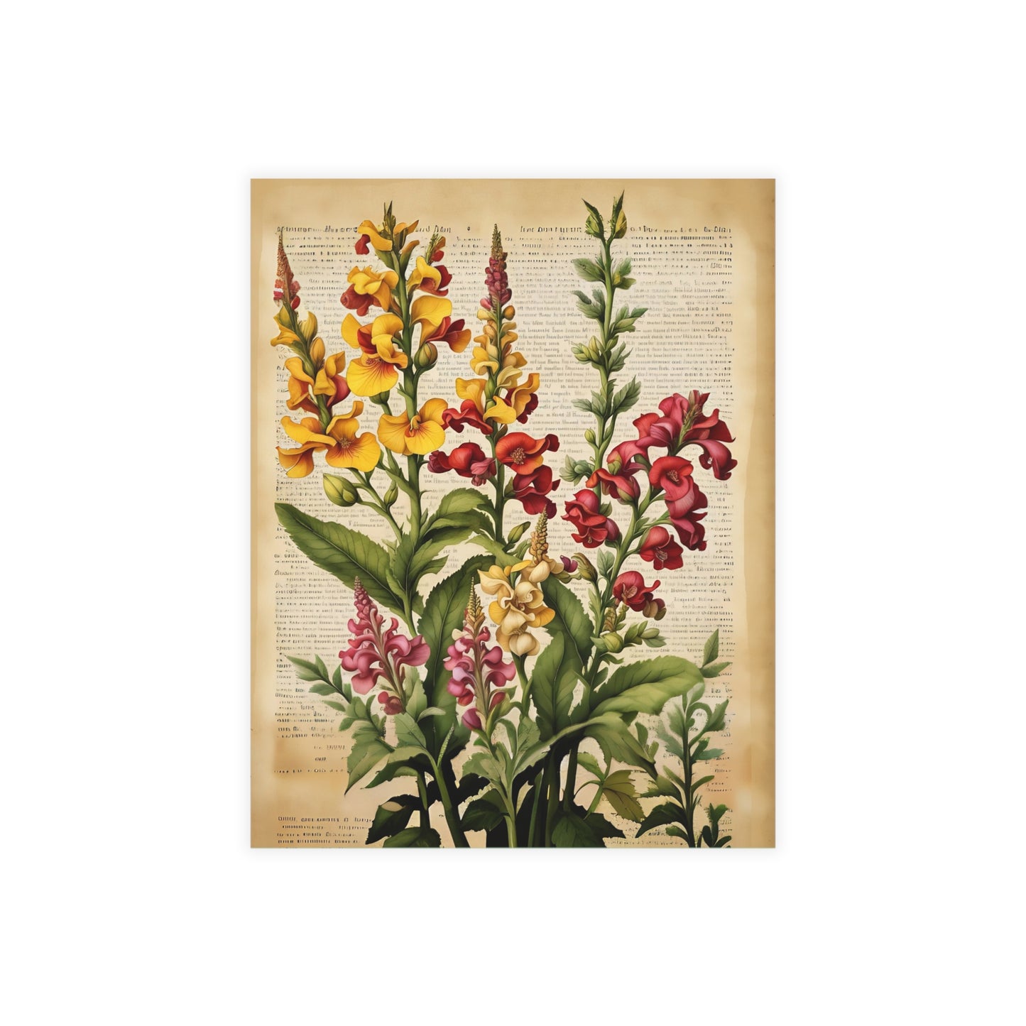 Vintage Floral Postcard Bundle