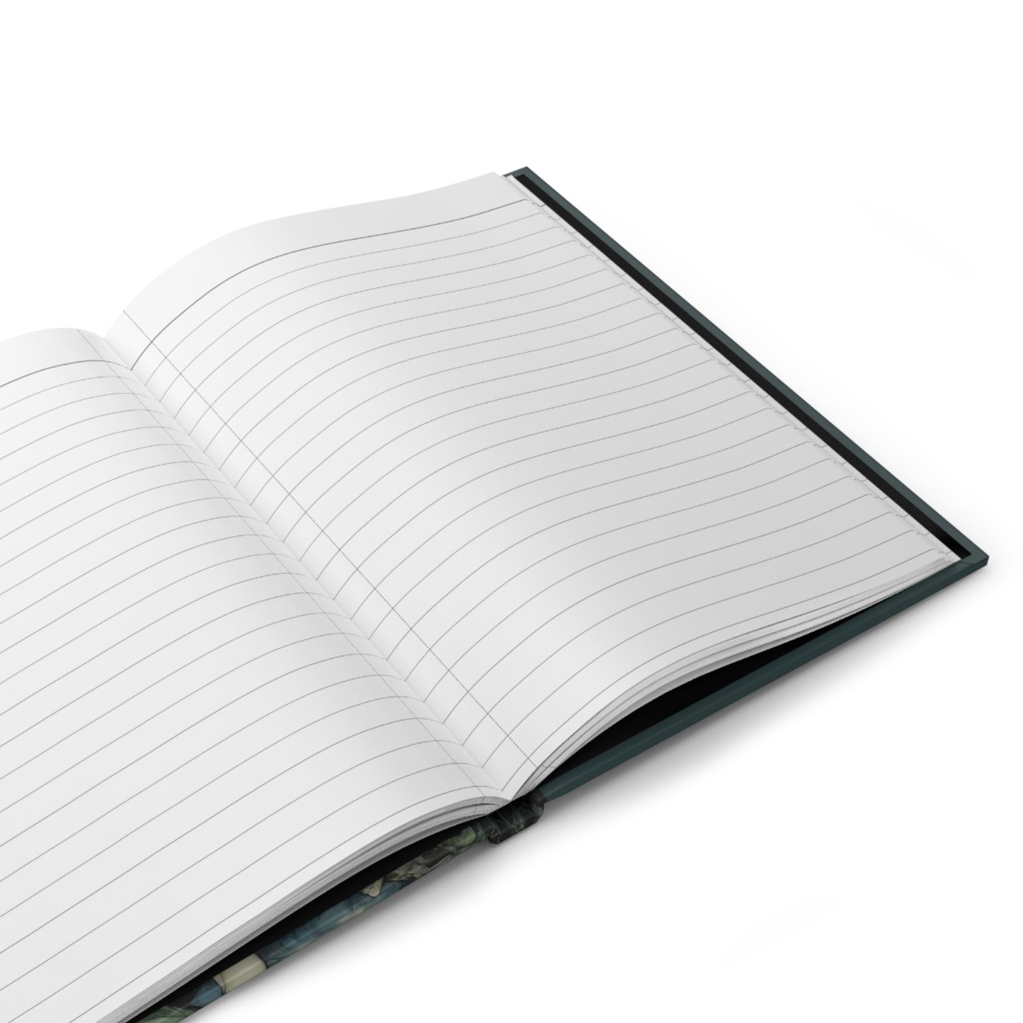 Fairy Journal