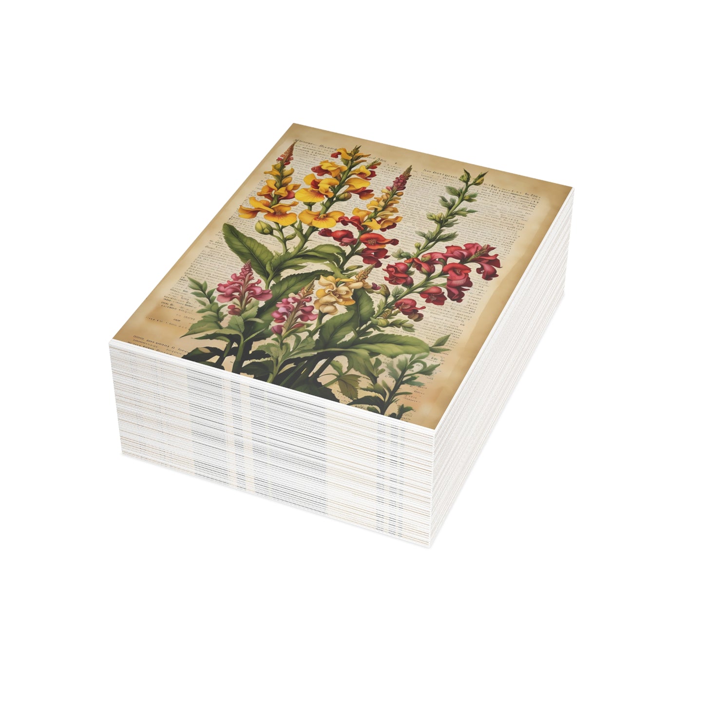 Vintage Floral Postcard Bundle