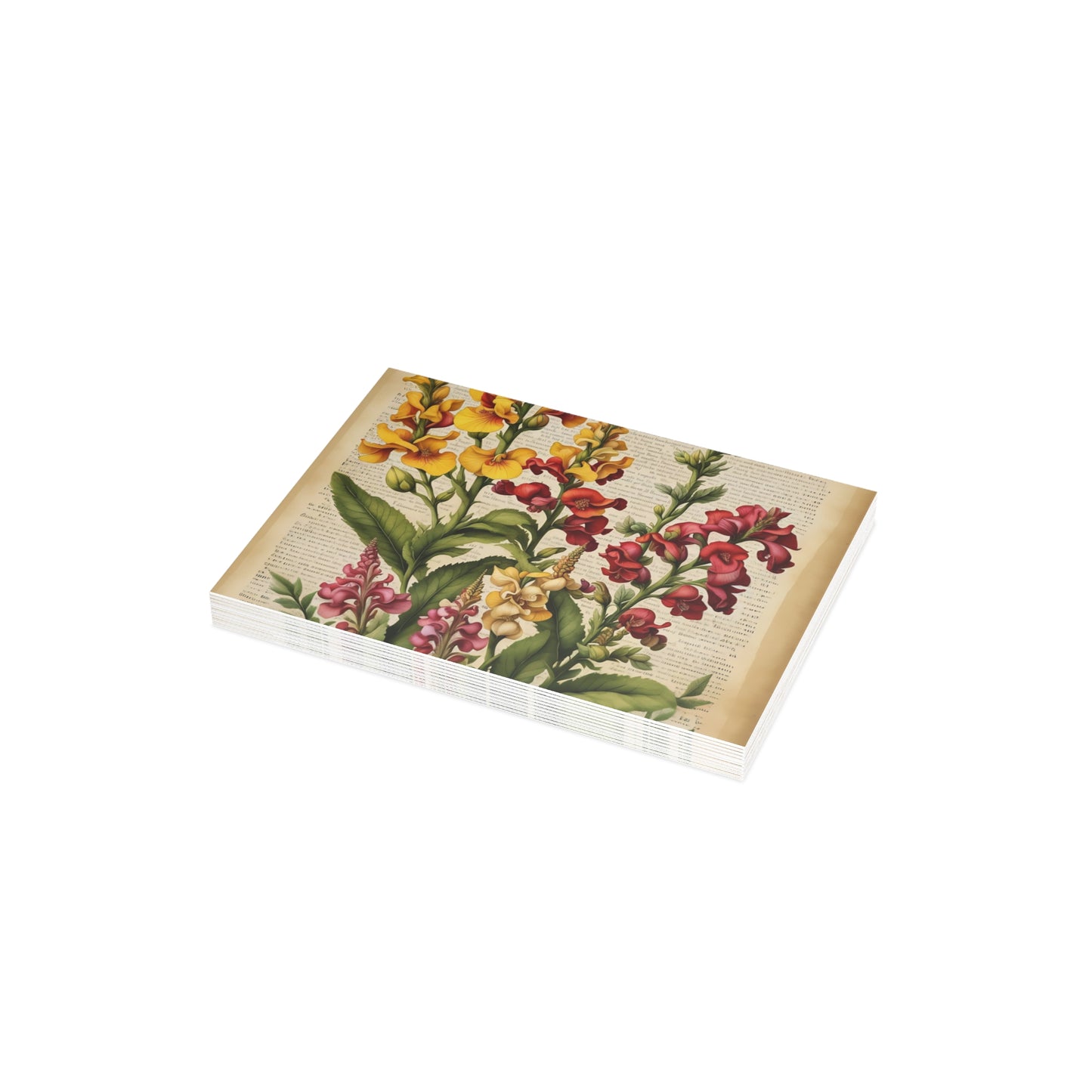 Vintage Floral Postcard Bundle