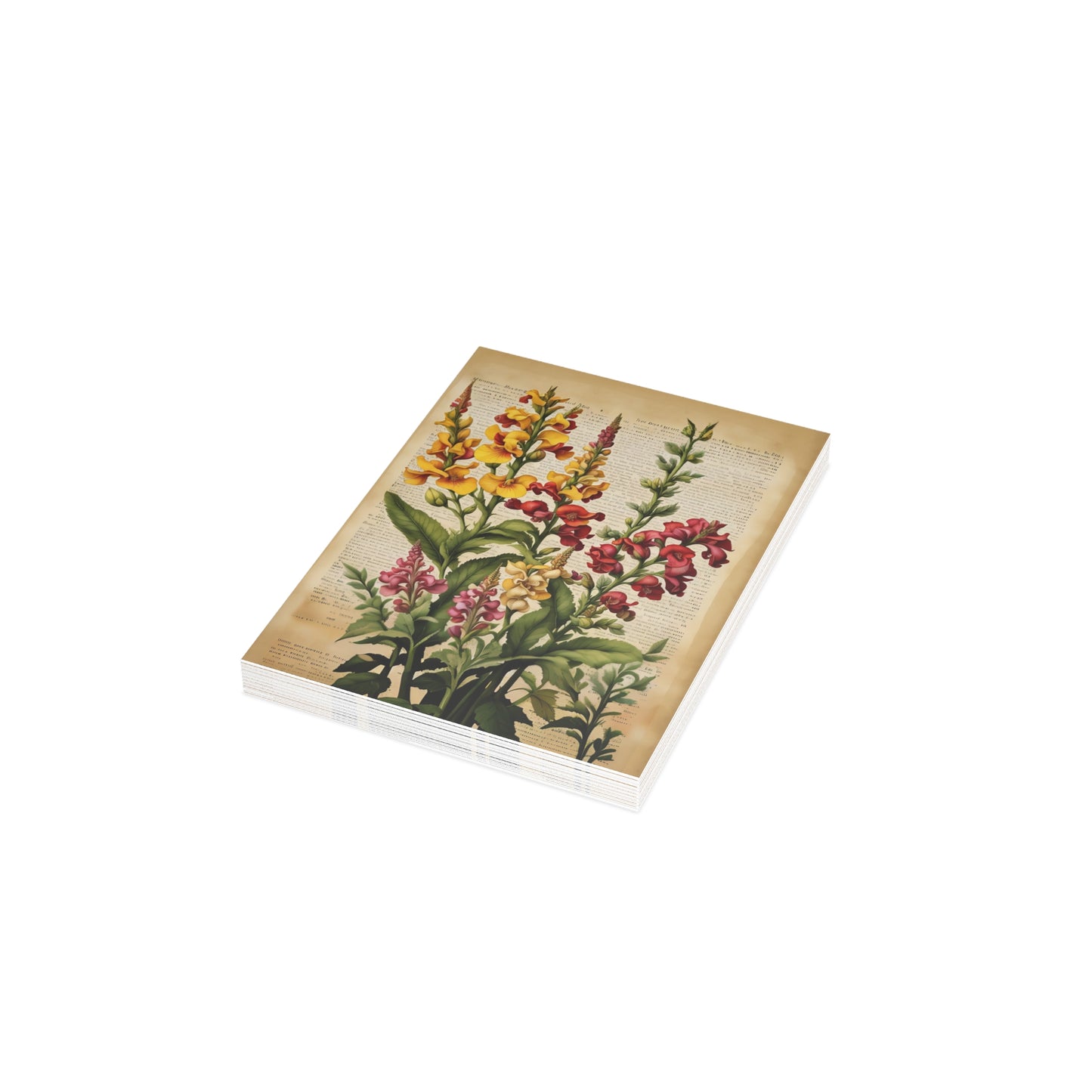 Vintage Floral Postcard Bundle