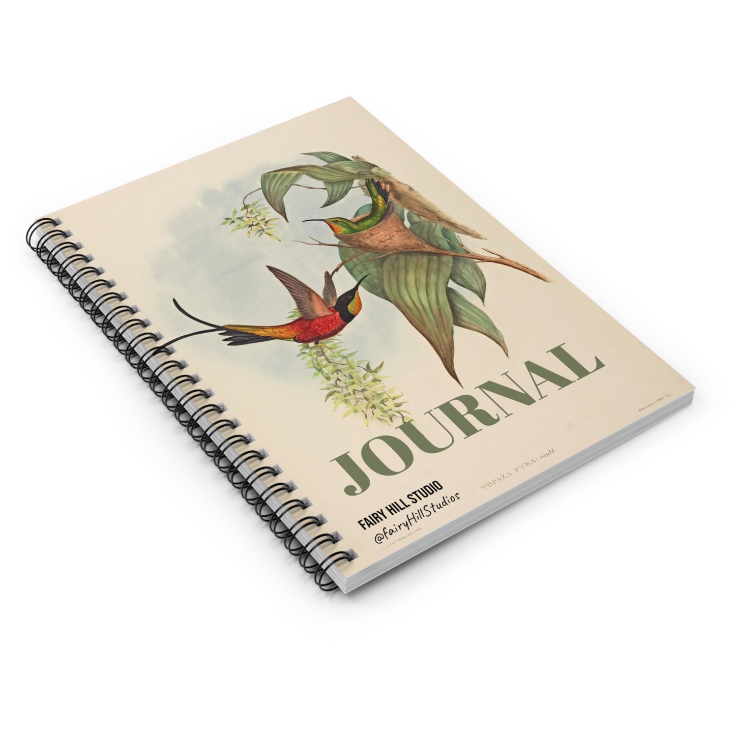 Spiral Notebook - Ruled Line Fairy Topaz Bird and Flower Art by H C Richter
