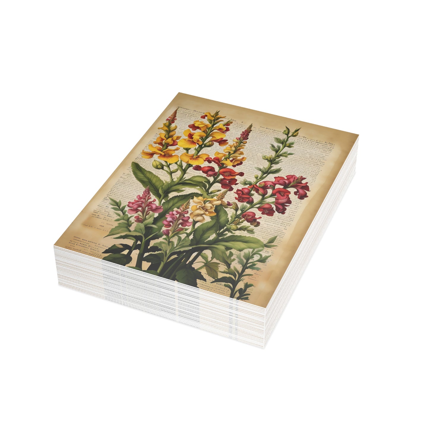 Vintage Floral Postcard Bundle