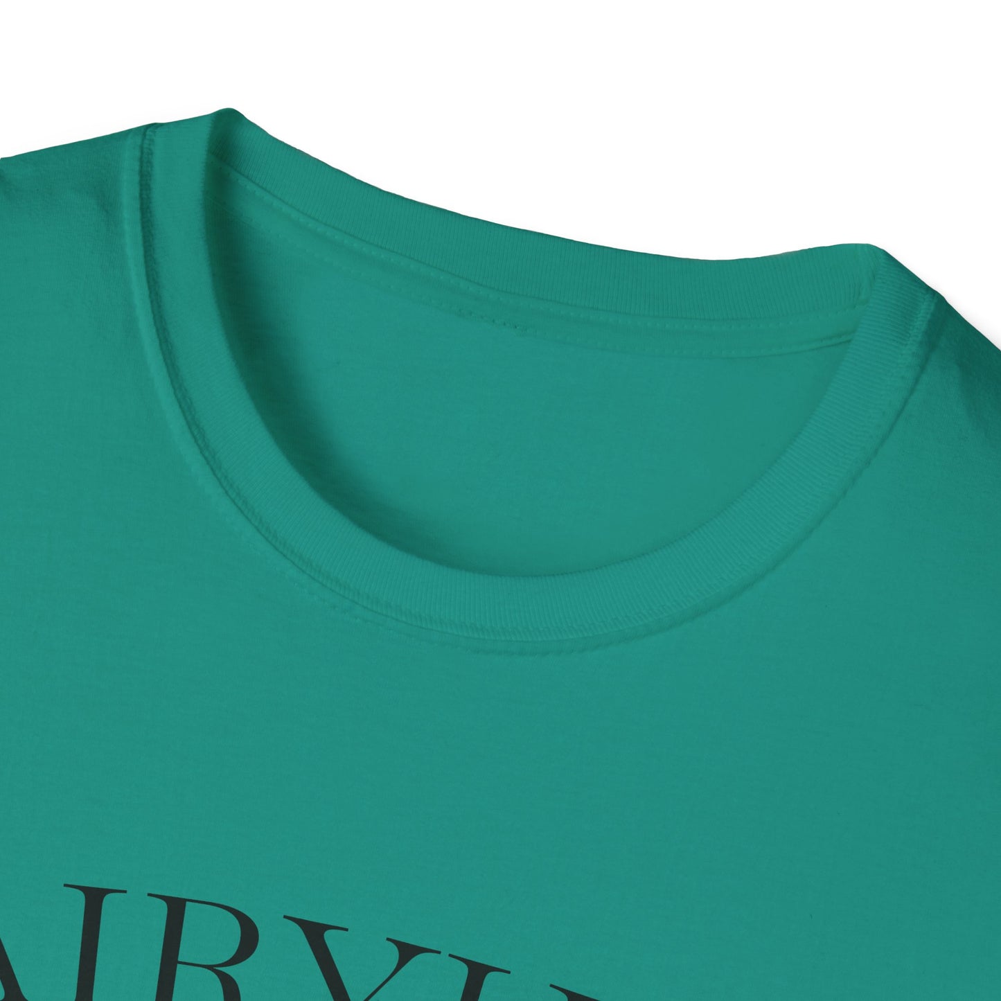 Unisex Softstyle T-Shirt with Retro Fairythili Design, Casual Wear, Graphic Tee, Gift Idea, Vintage Apparel