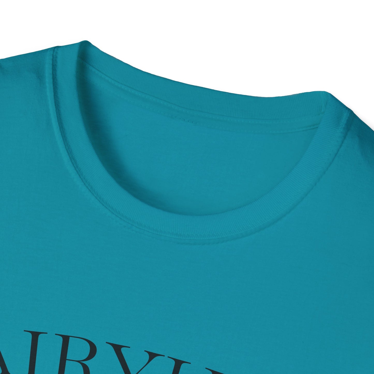 Unisex Softstyle T-Shirt with Retro Fairythili Design, Casual Wear, Graphic Tee, Gift Idea, Vintage Apparel