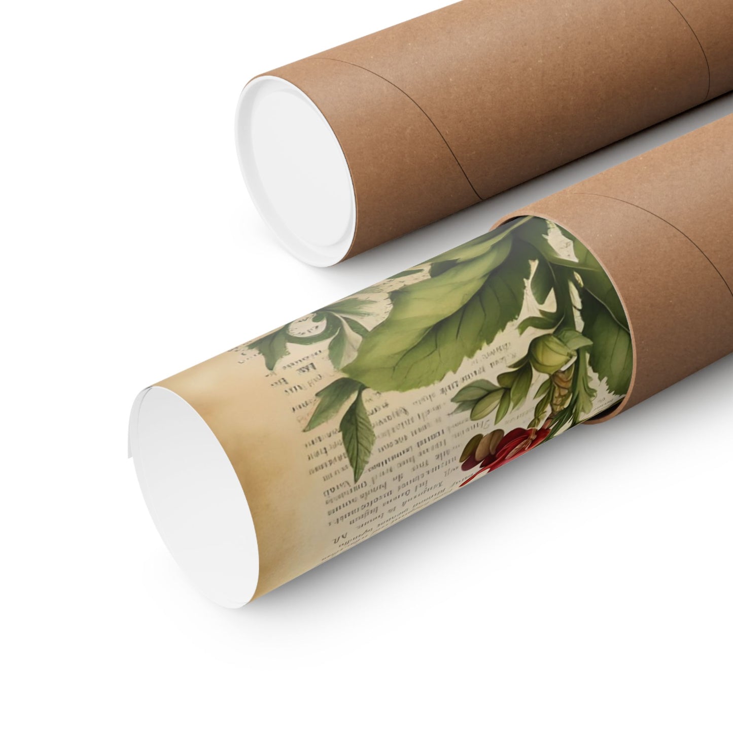 Botanical Vertical Posters - Vintage Antirrhinum Snapdragons