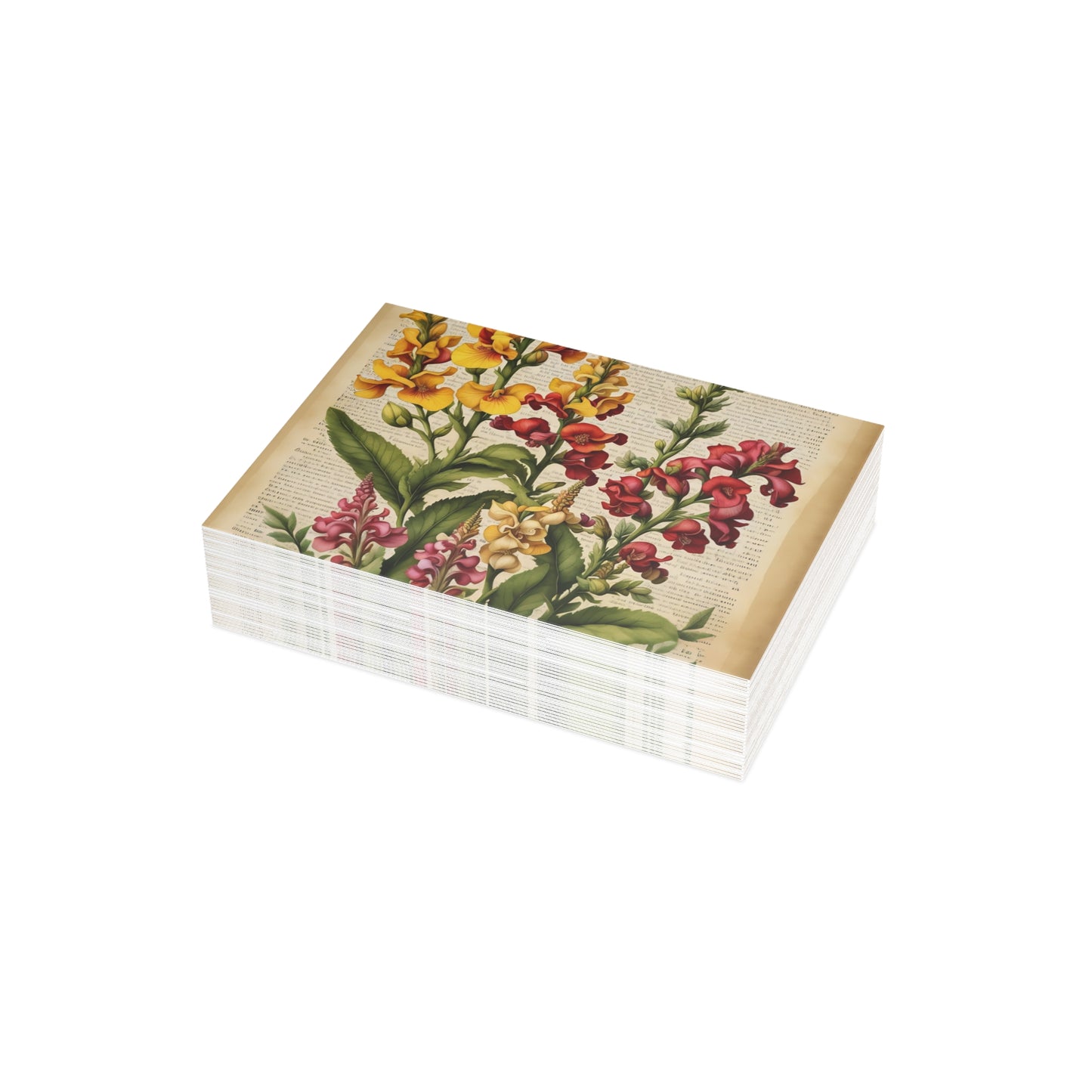 Vintage Floral Postcard Bundle