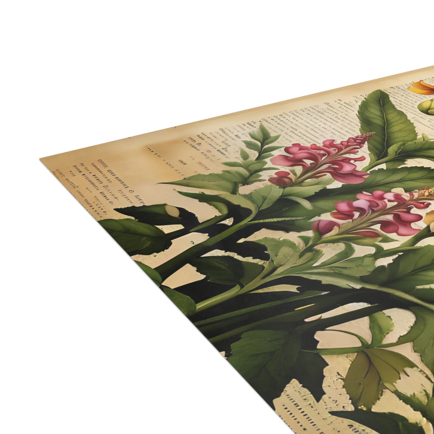 Vintage Floral Postcard Bundle