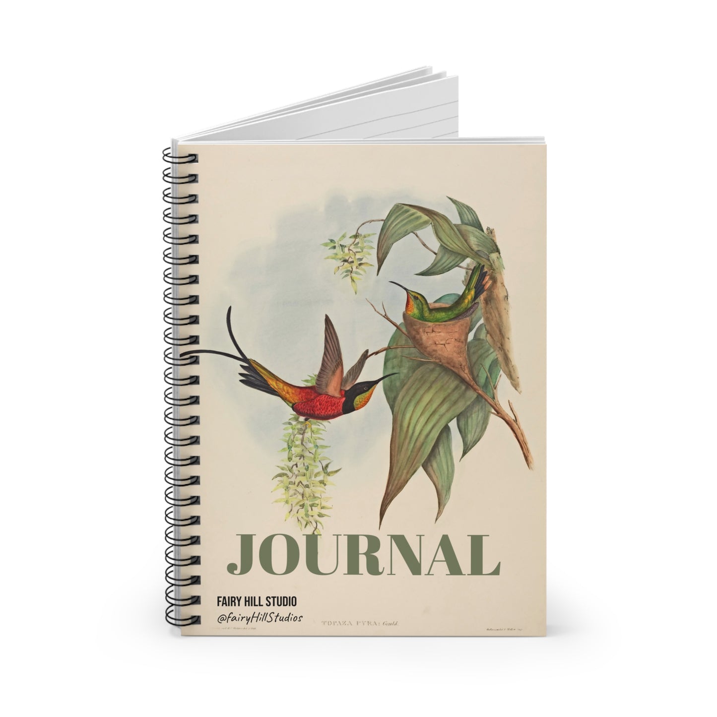 Spiral Notebook - Ruled Line Fairy Topaz Bird and Flower Art by H C Richter